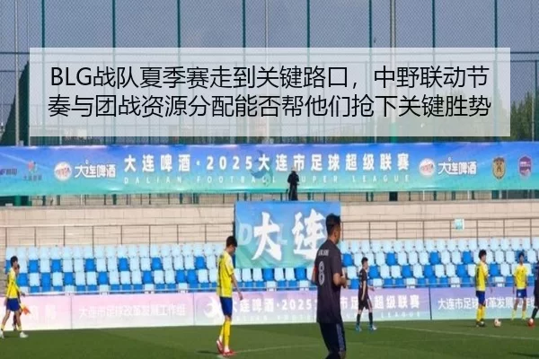 BLG战队夏季赛走到关键路口，中野联动节奏与团战资源分配能否帮他们抢下关键胜势